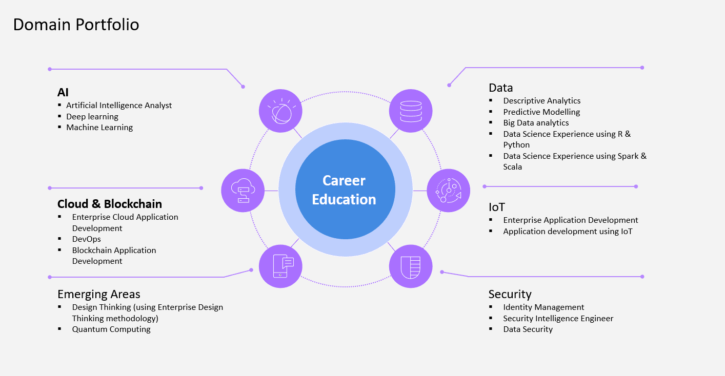 IBM Domain Portfolio